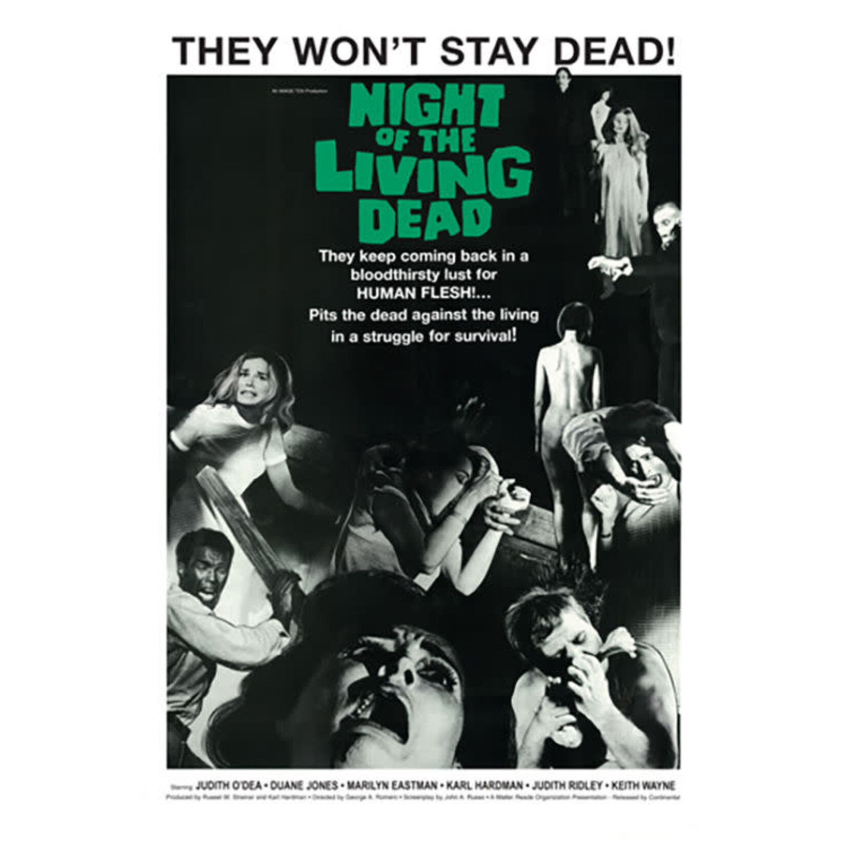 Poster - Night Of The Living Dead: Stay Dead