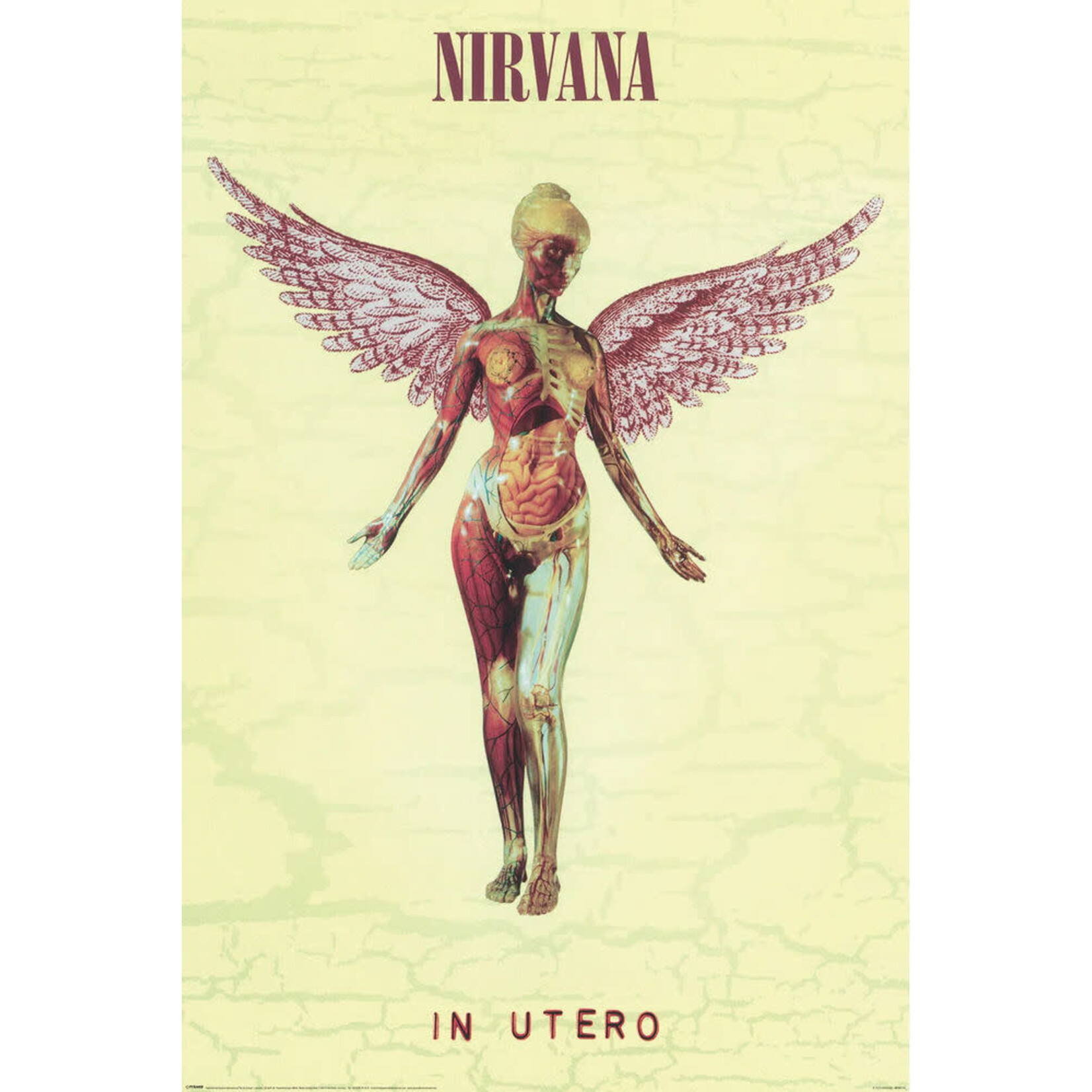 Poster - Nirvana: In Utero
