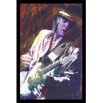 Poster - Stevie Ray Vaughan: Guitar Master
