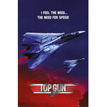Poster - Top Gun: Need For Speed