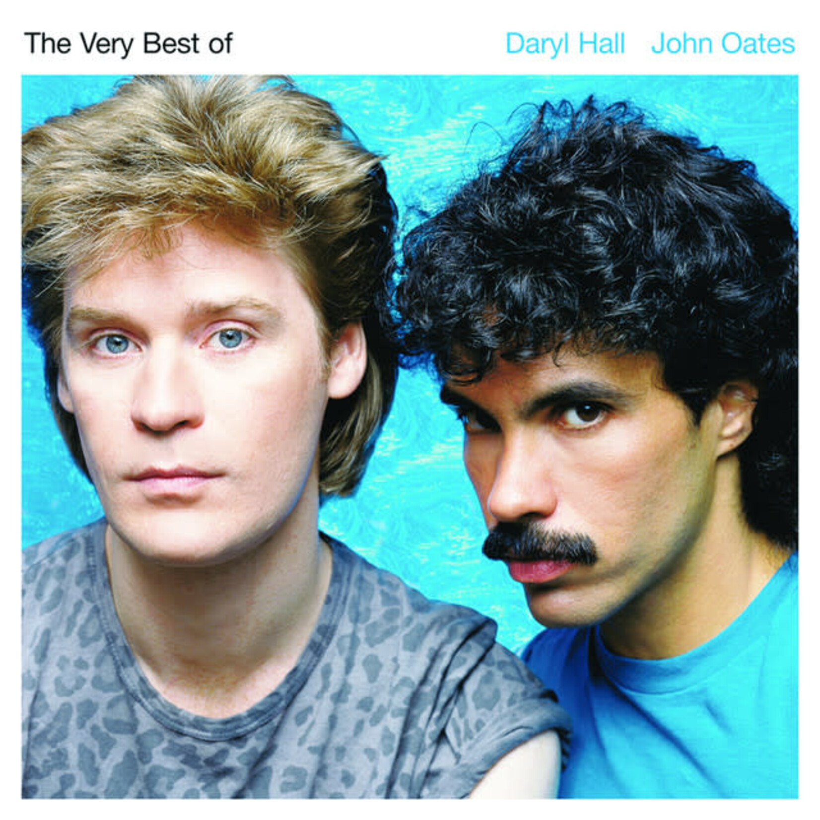 Daryl Hall & John Oates - The Very Best Of Daryl Hall & John Oates [USED CD]