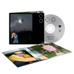 Harry Styles - Kiss All The Time. Disco, Occasionally. [CD]