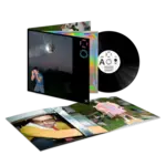 Harry Styles - Kiss All The Time. Disco, Occasionally. [LP]