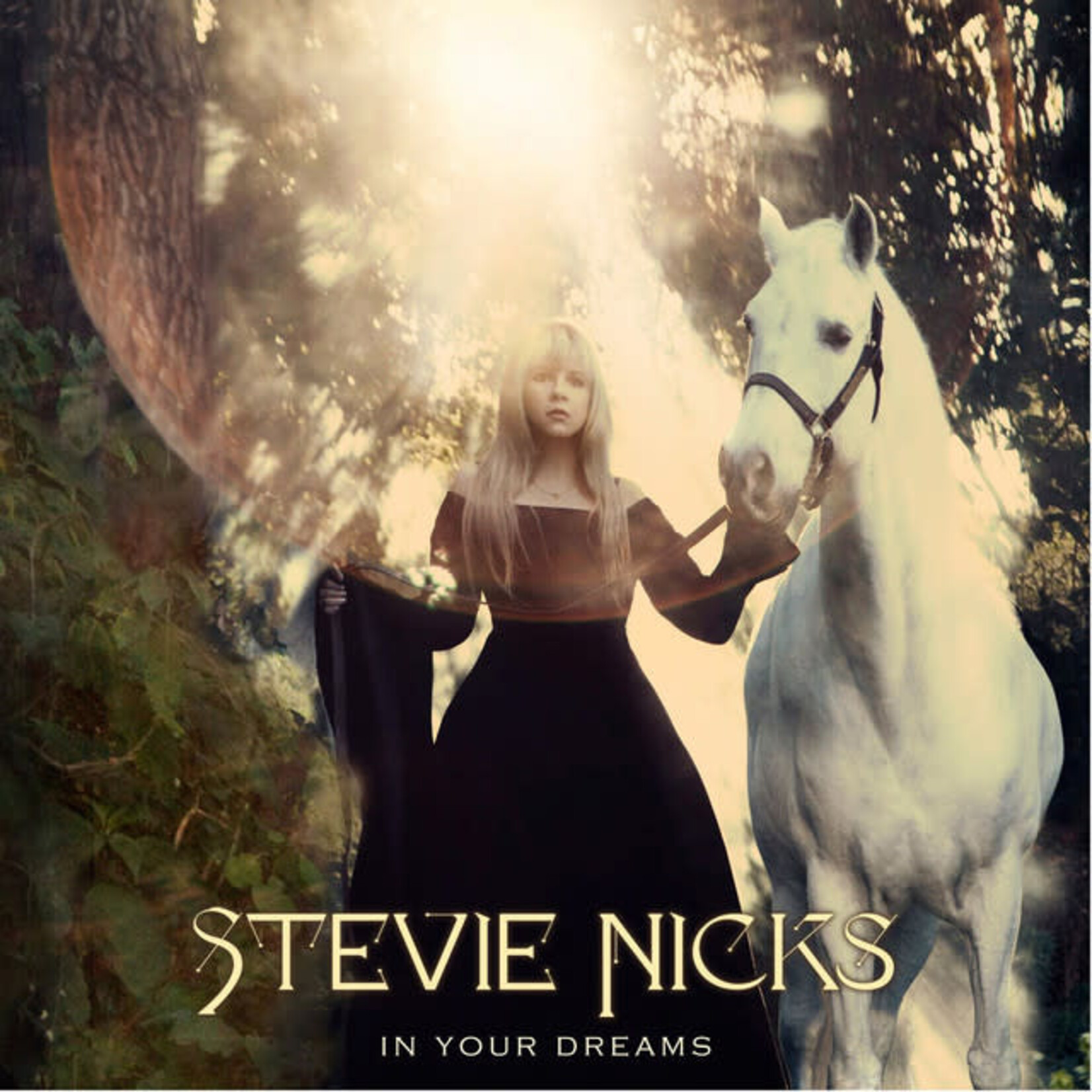 Stevie Nicks - In Your Dreams [USED CD]
