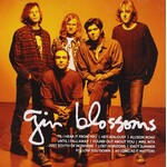 Gin Blossoms - Icon [USED CD]