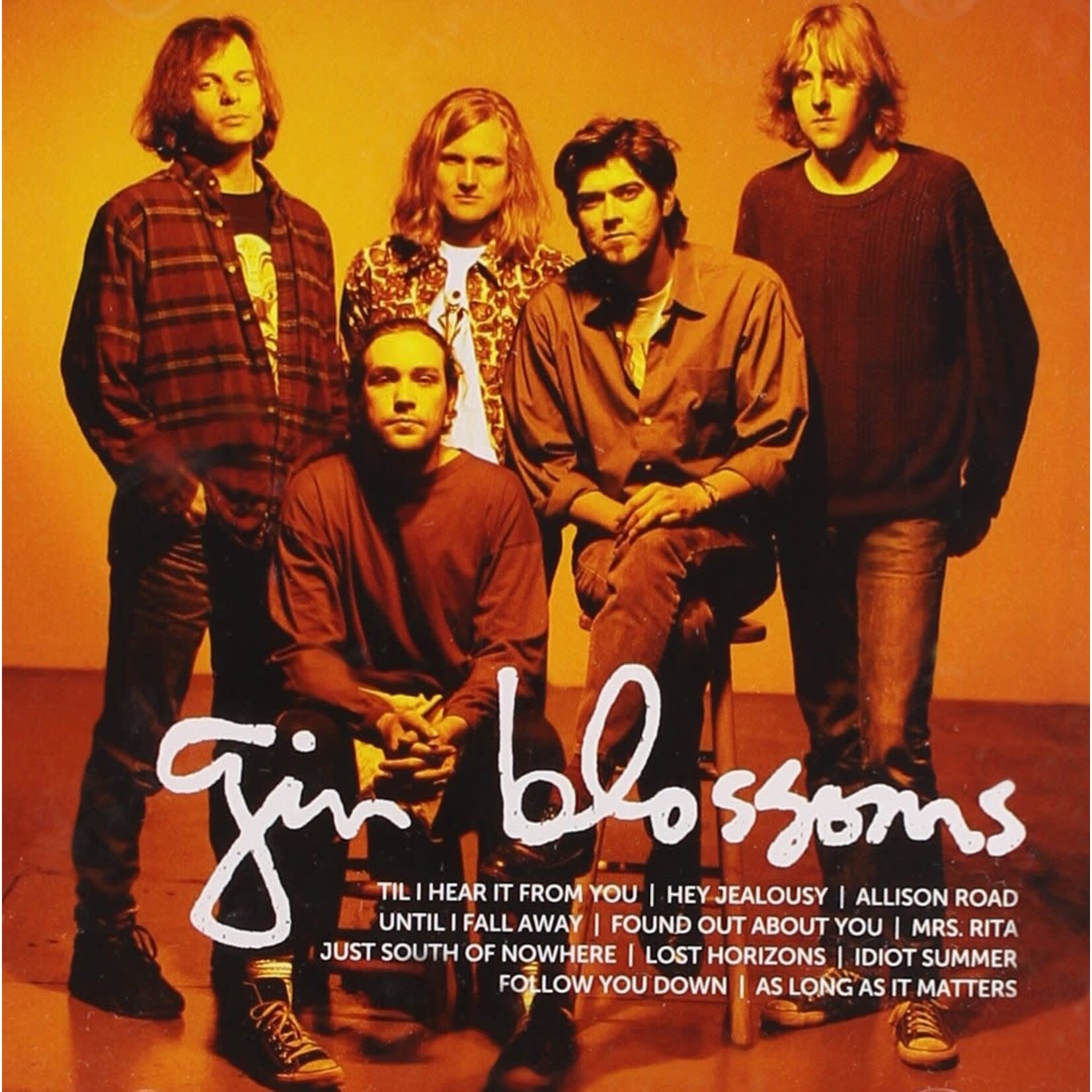 Gin Blossoms - Icon [USED CD]