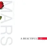 Thirty Seconds To Mars - A Beautiful Lie [USED CD]