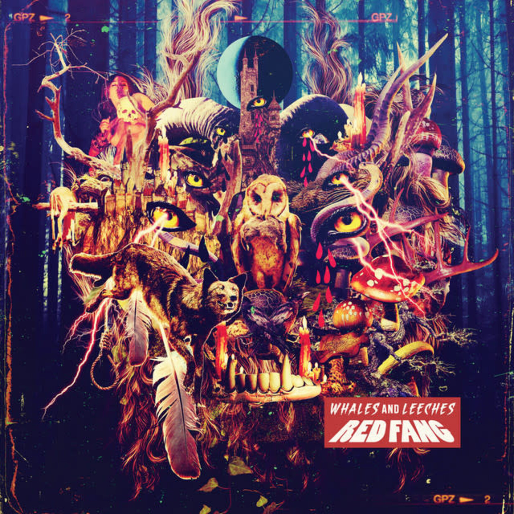 Red Fang - Whales And Leeches [USED CD]