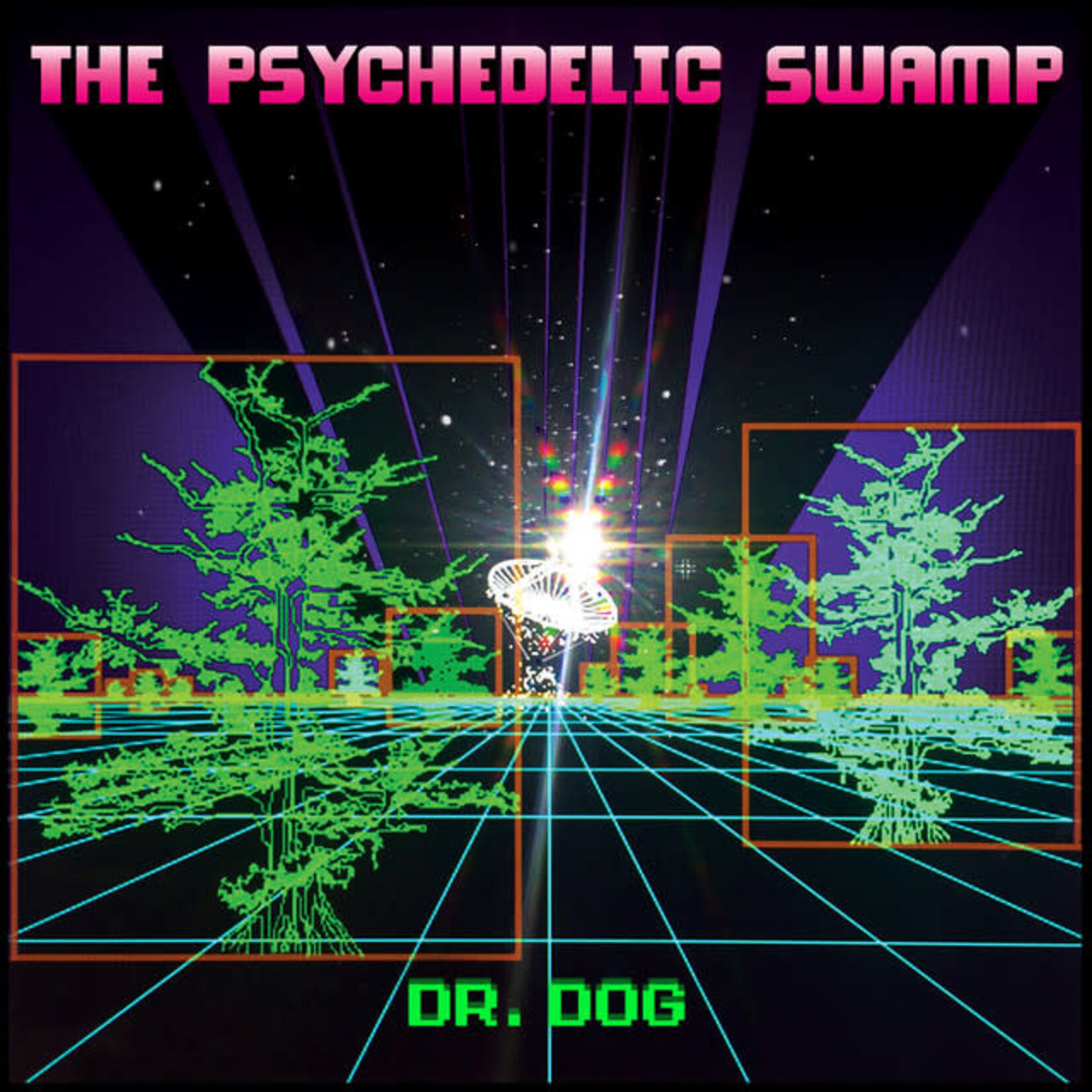 Dr. Dog - The Psychedelic Swamp [USED CD]