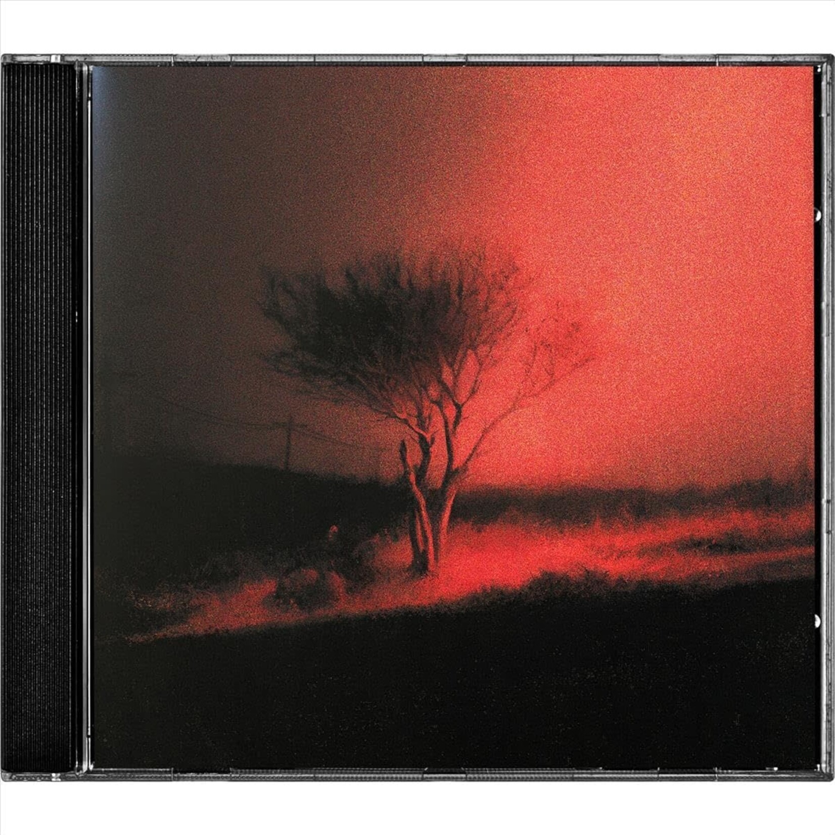 Joji - Piss In The Wind [CD]