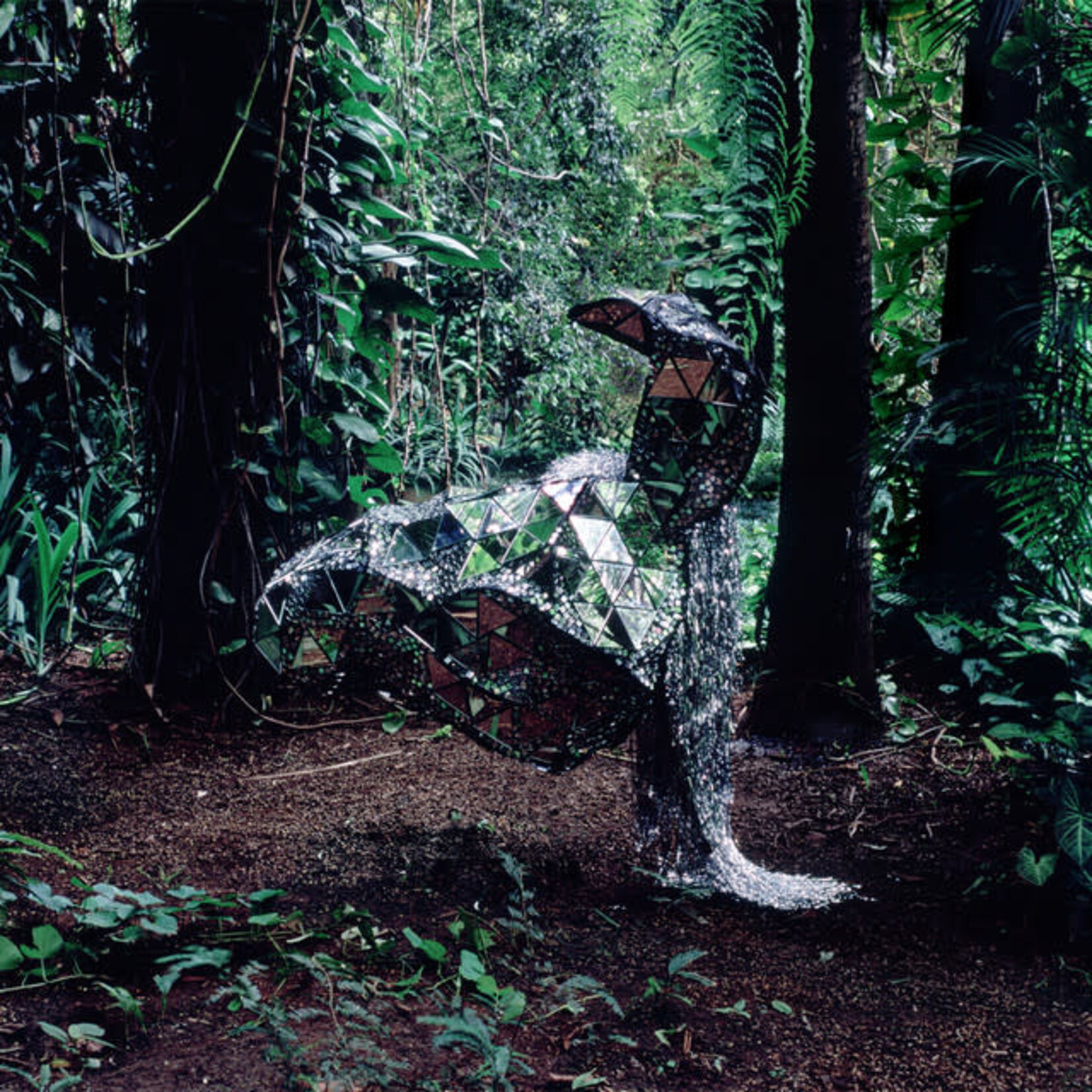 CSS - Donkey [USED CD]