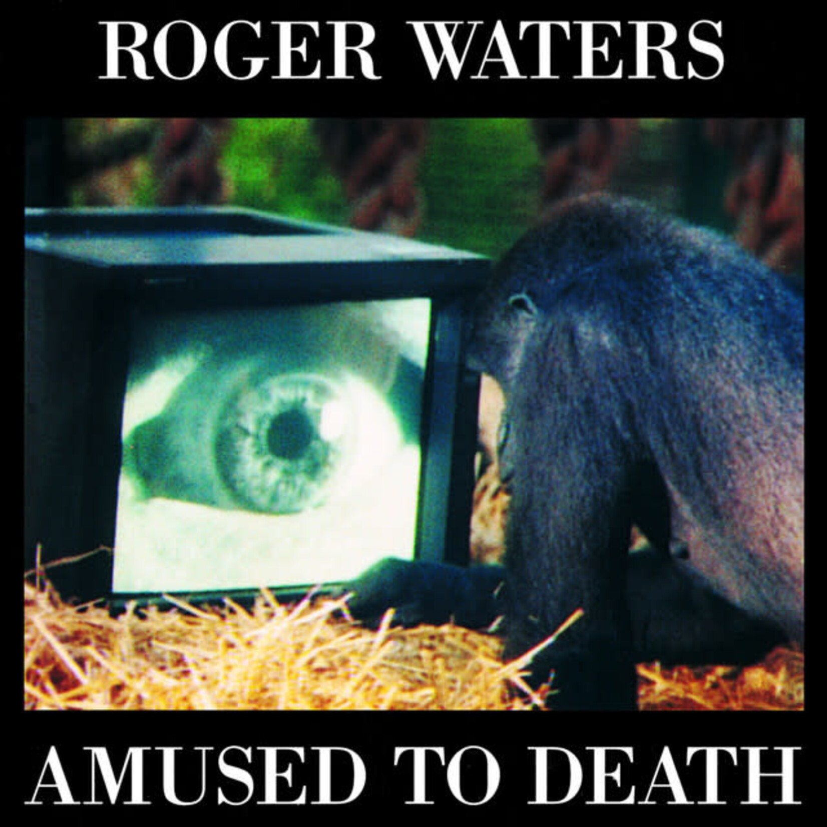 Roger Waters - Amused To Death [USED CD]