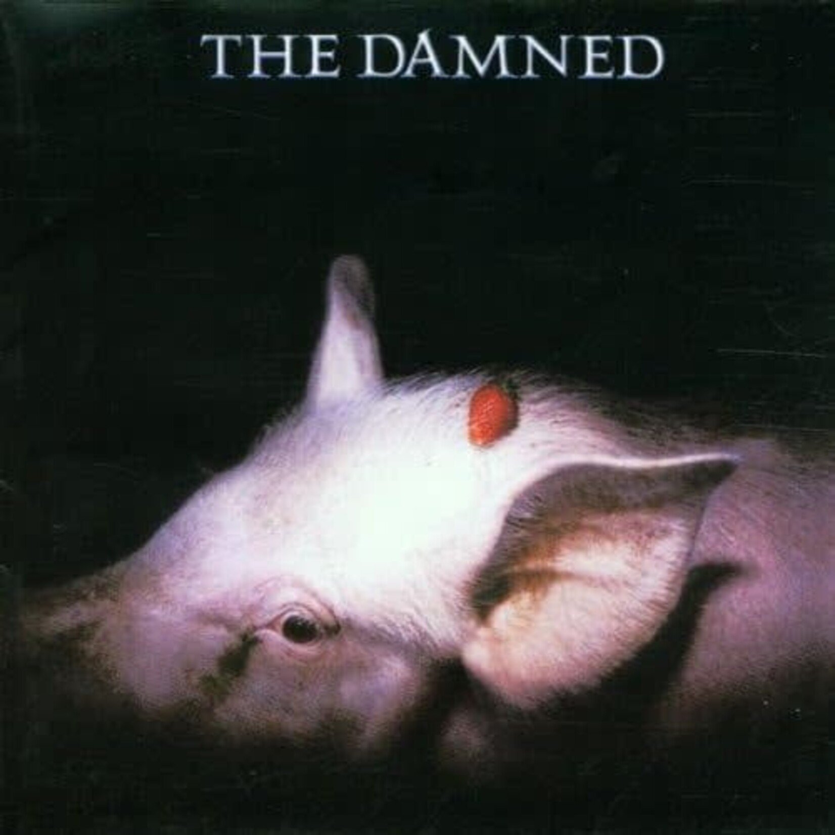 Damned - Strawberries [CD]