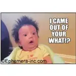 Magnet - I Came Out Of Your What!?