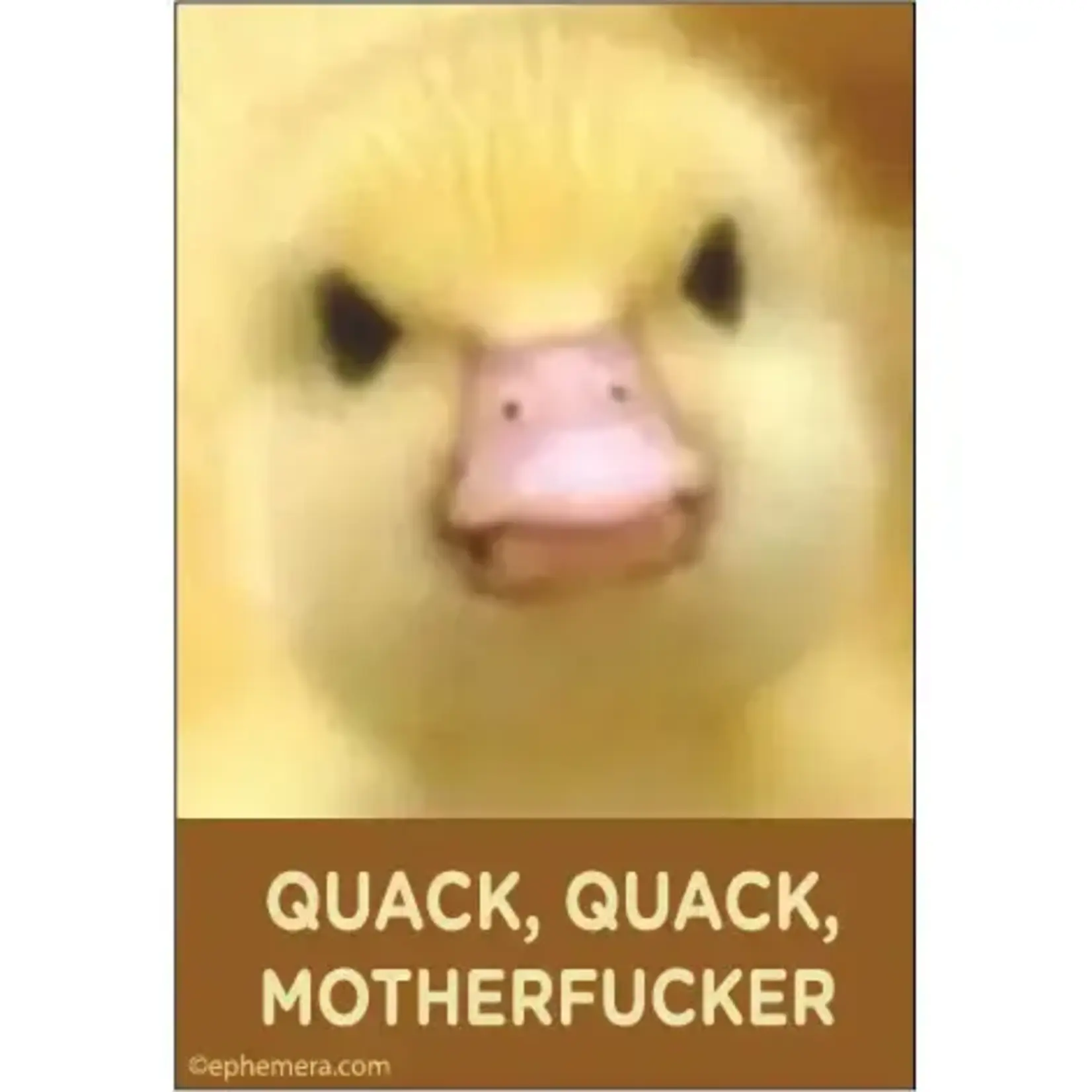 Magnet - Quack, Quack, Motherfucker