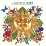 Tears For Fears - Tears Roll Down: Greatest Hits 82-92 [USED CD]