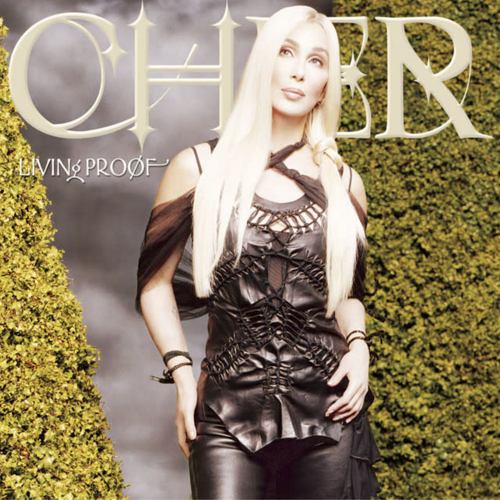 Cher - Living Proof [USED CD]