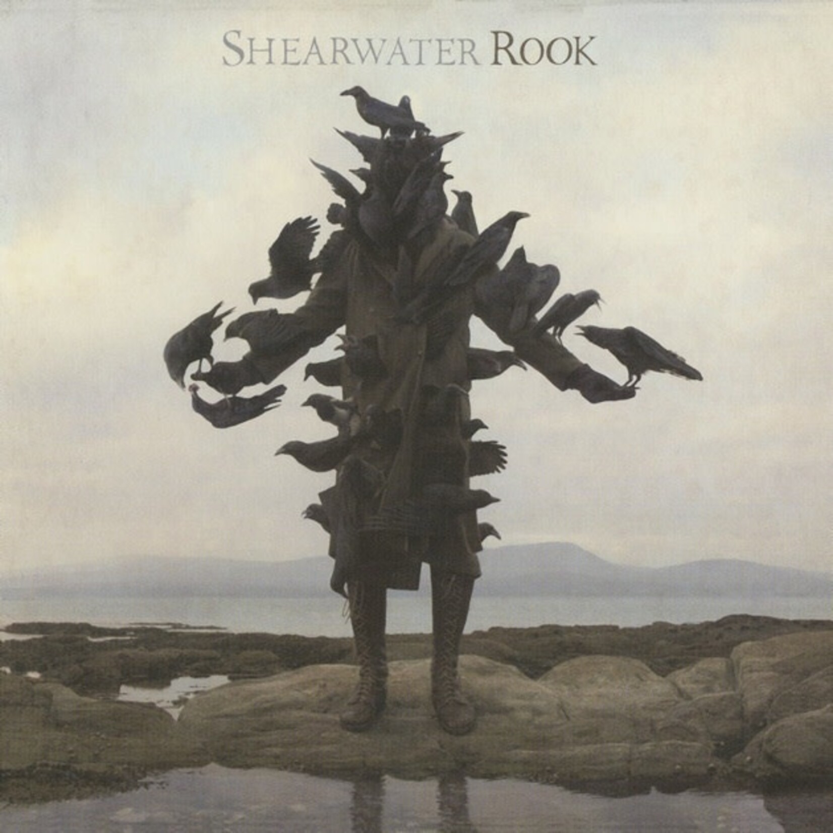 Shearwater - Rook [USED CD]