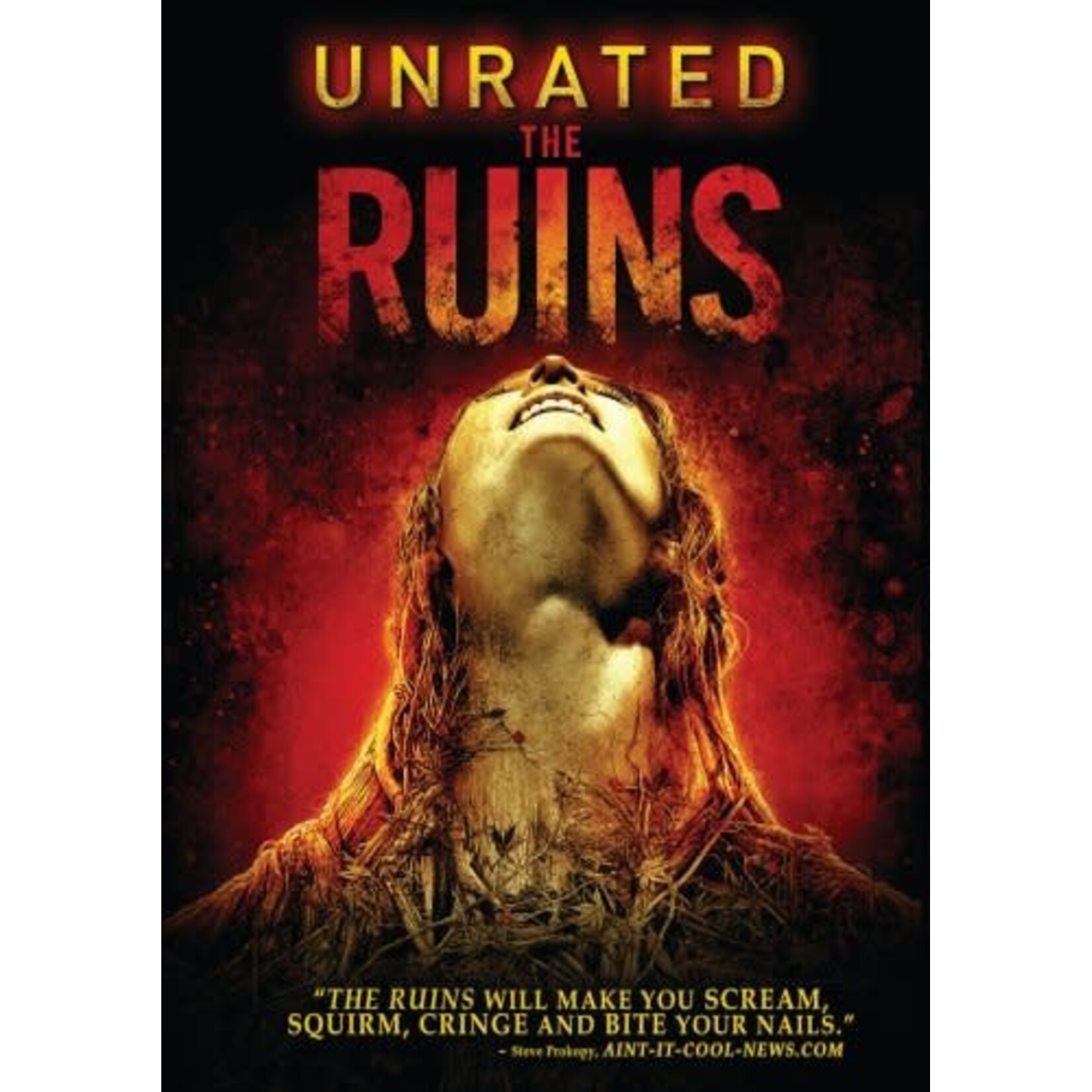 Ruins (2008) [USED DVD]