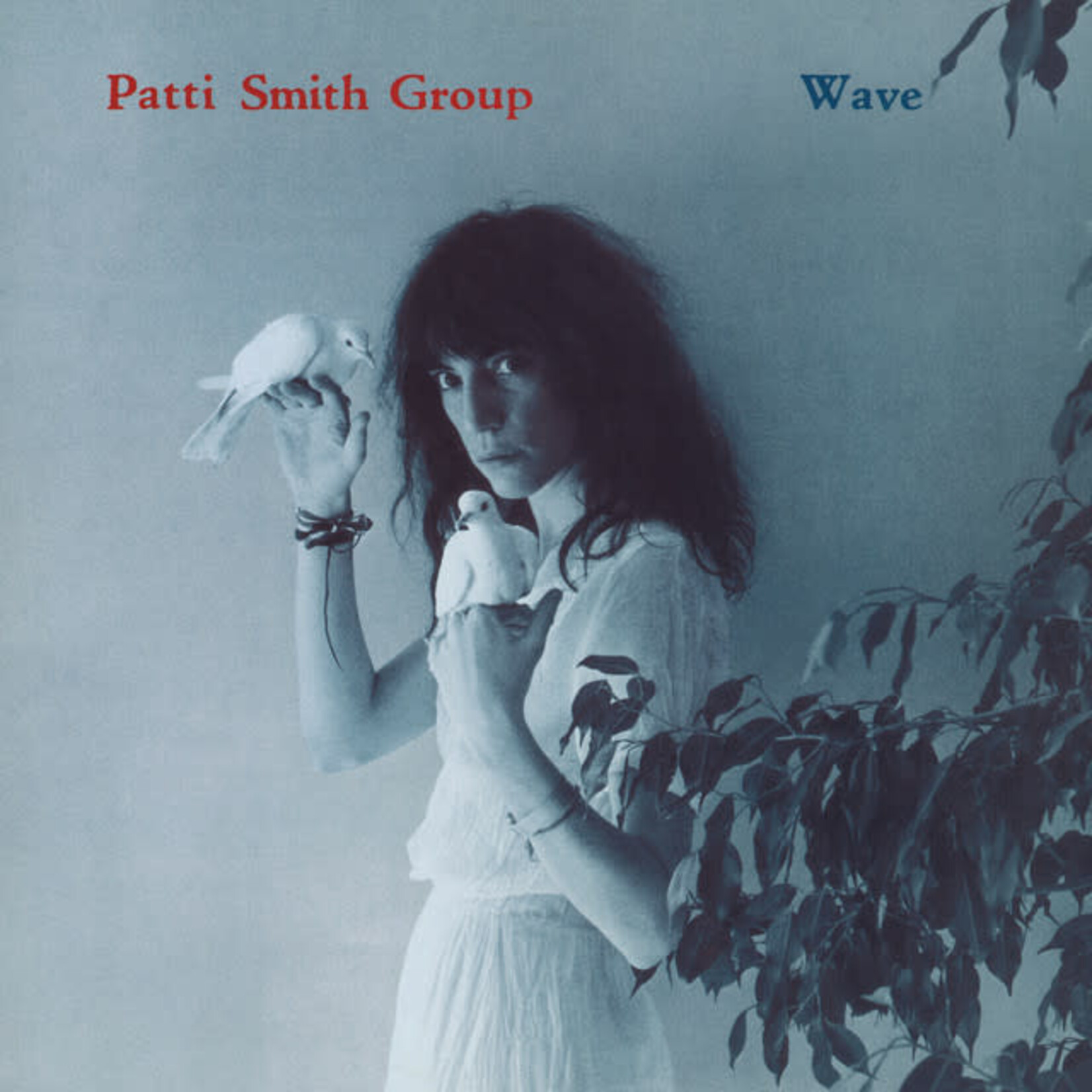 Patti Smith - Wave [USED CD]
