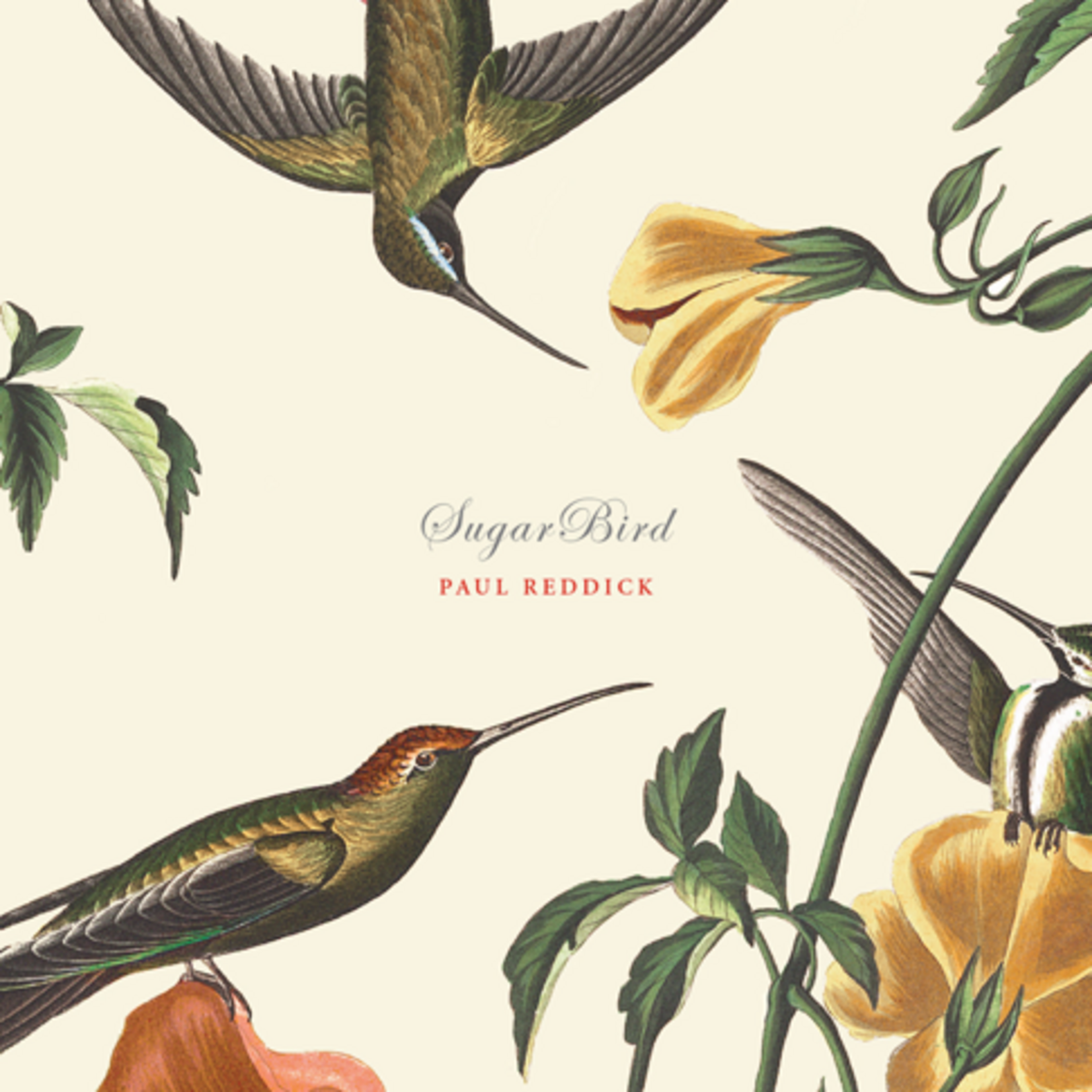 Paul Reddick - Sugarbird [USED CD]