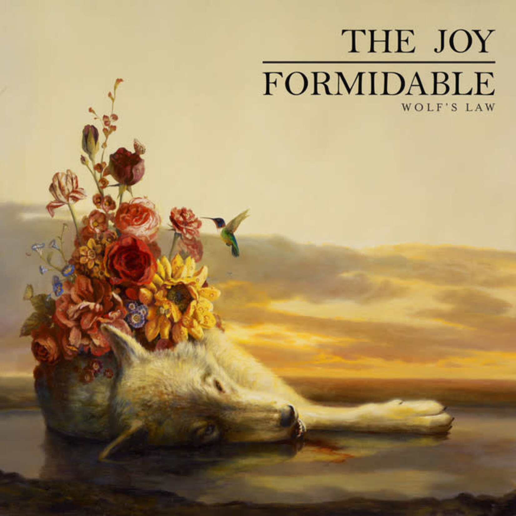 Joy Formidable - Wolf's Law [USED CD]