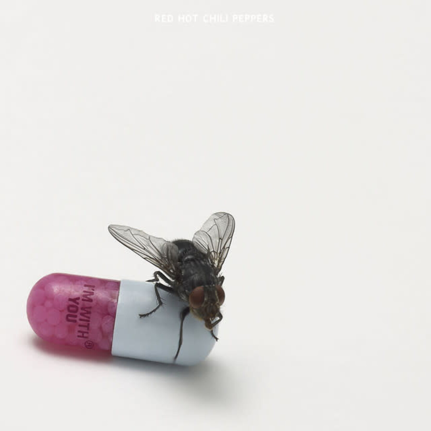 Red Hot Chili Peppers - I'm With You [USED CD]