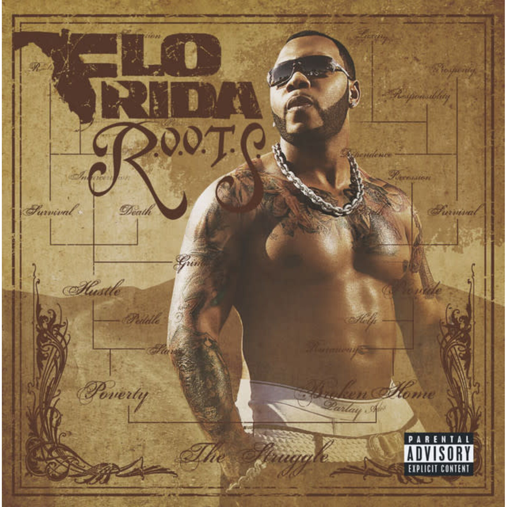 Flo Rida - R.O.O.T.S. [USED CD]