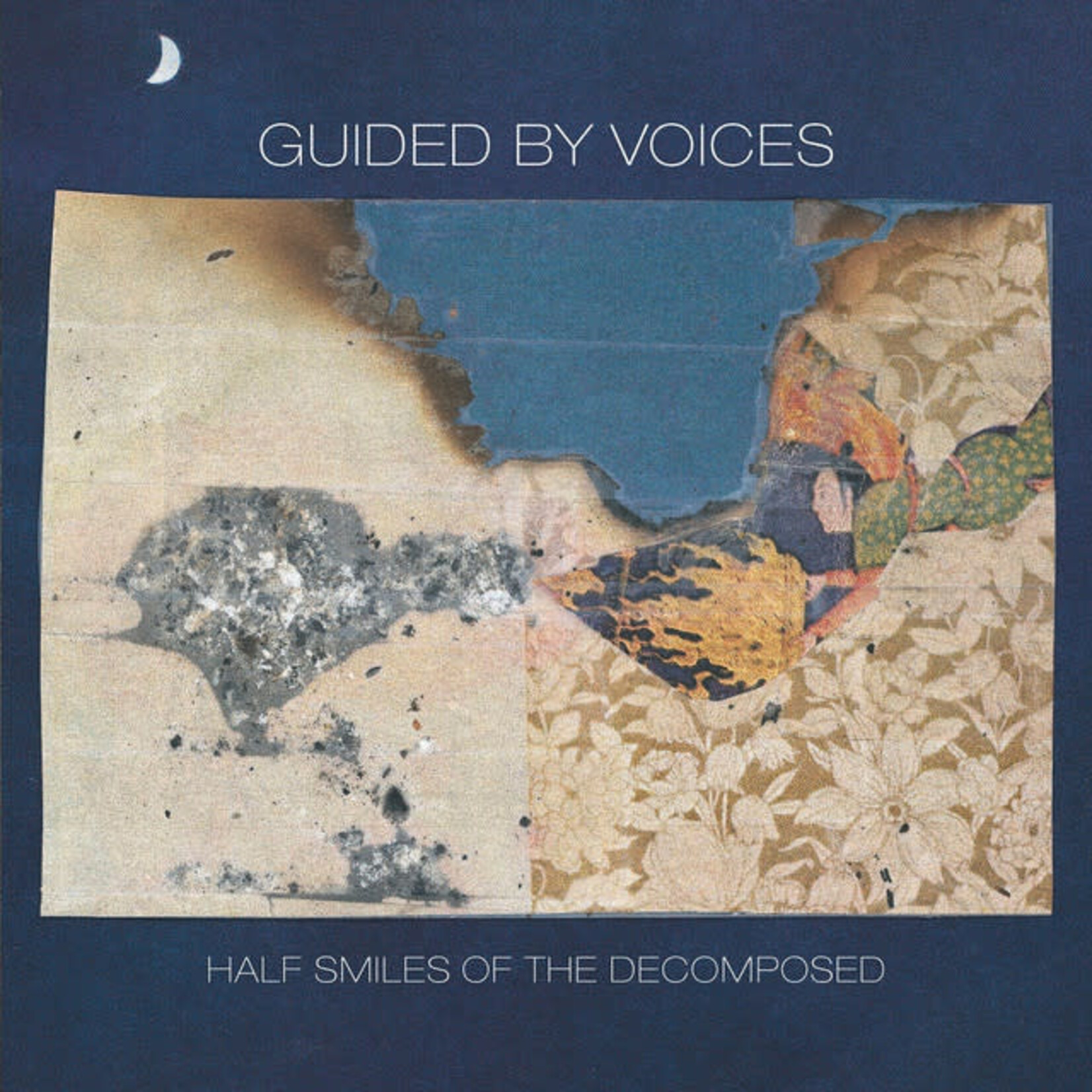 Guided By Voices - Half Smiles Of The Decomposed [USED CD]