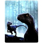 Jurassic Park 6: Jurassic World Dominion [USED 4K/BRD Steelbook]