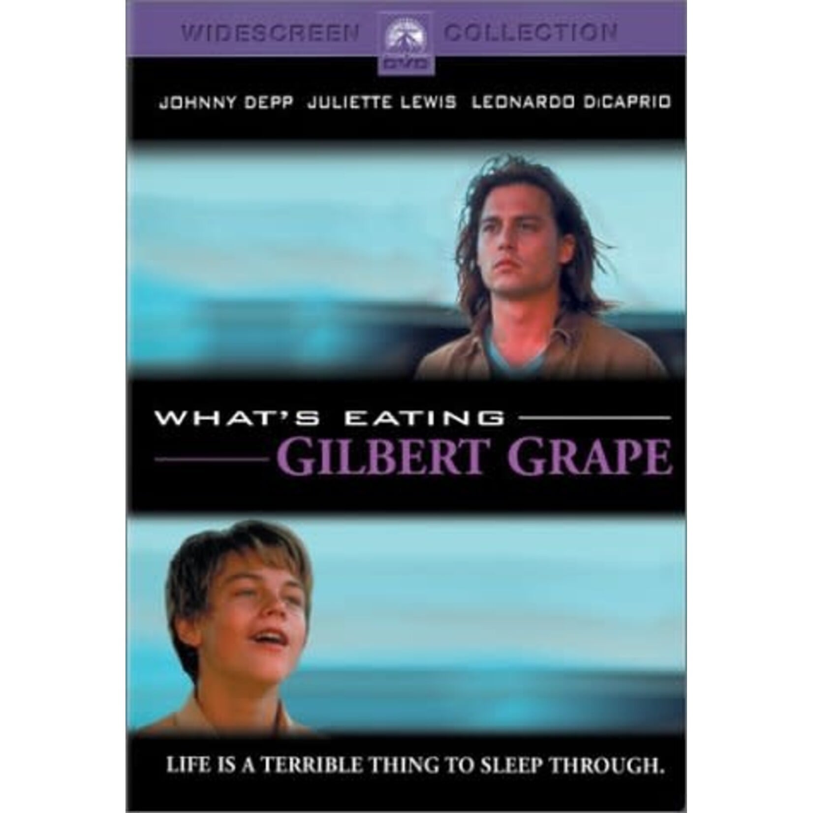 What's Eating Gilbert Grape (1993) [USED DVD]