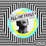 Fitz And The Tantrums - All The Feels [USED CD]