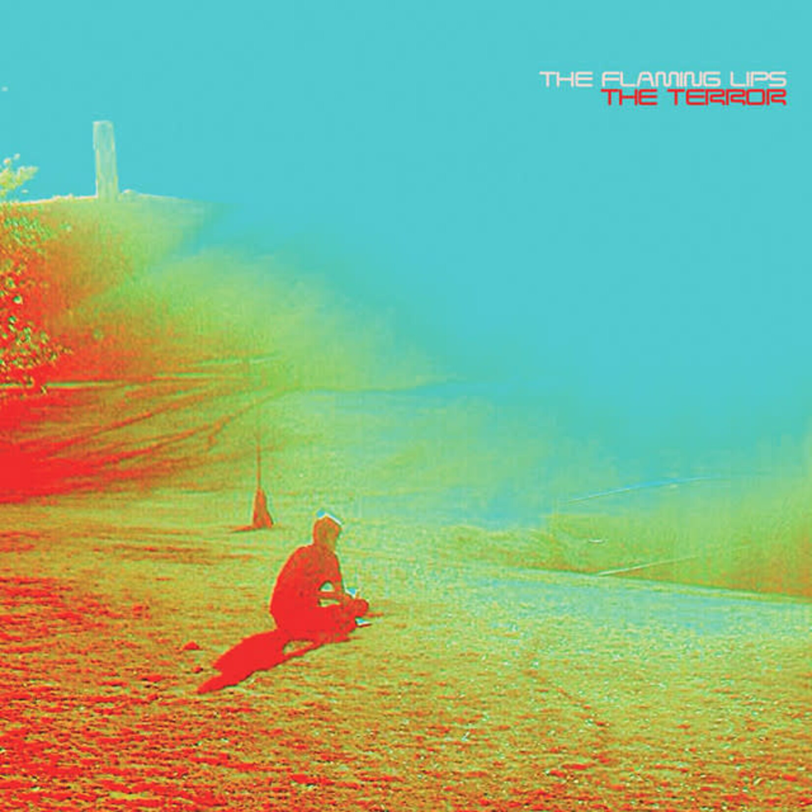 Flaming Lips - The Terror [USED CD]