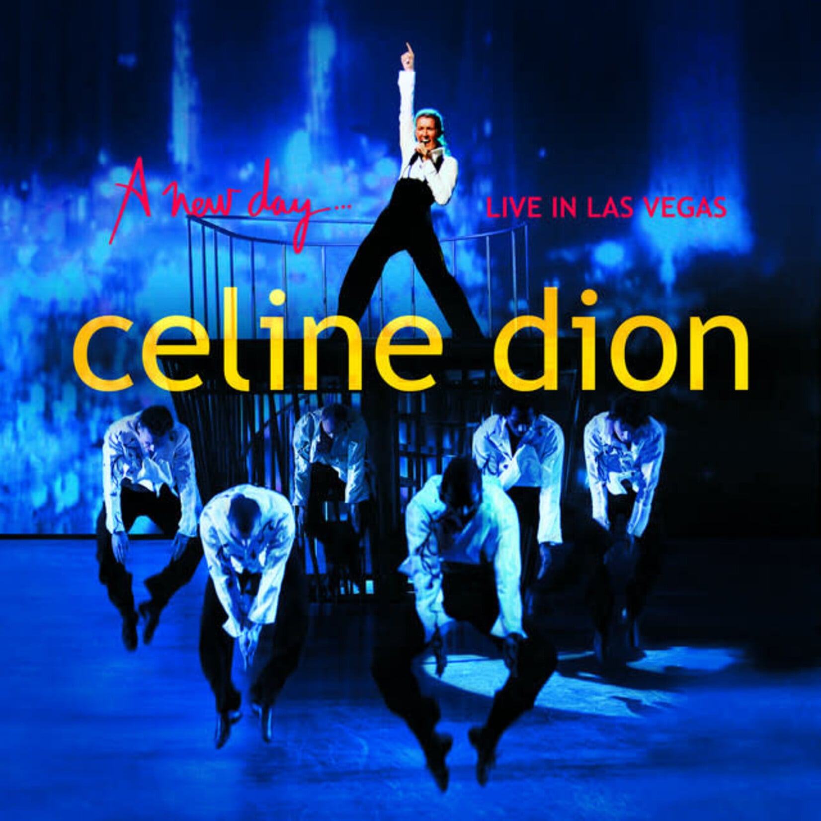 Celine Dion - A New Day...: Live In Las Vegas [USED CD/DVD]