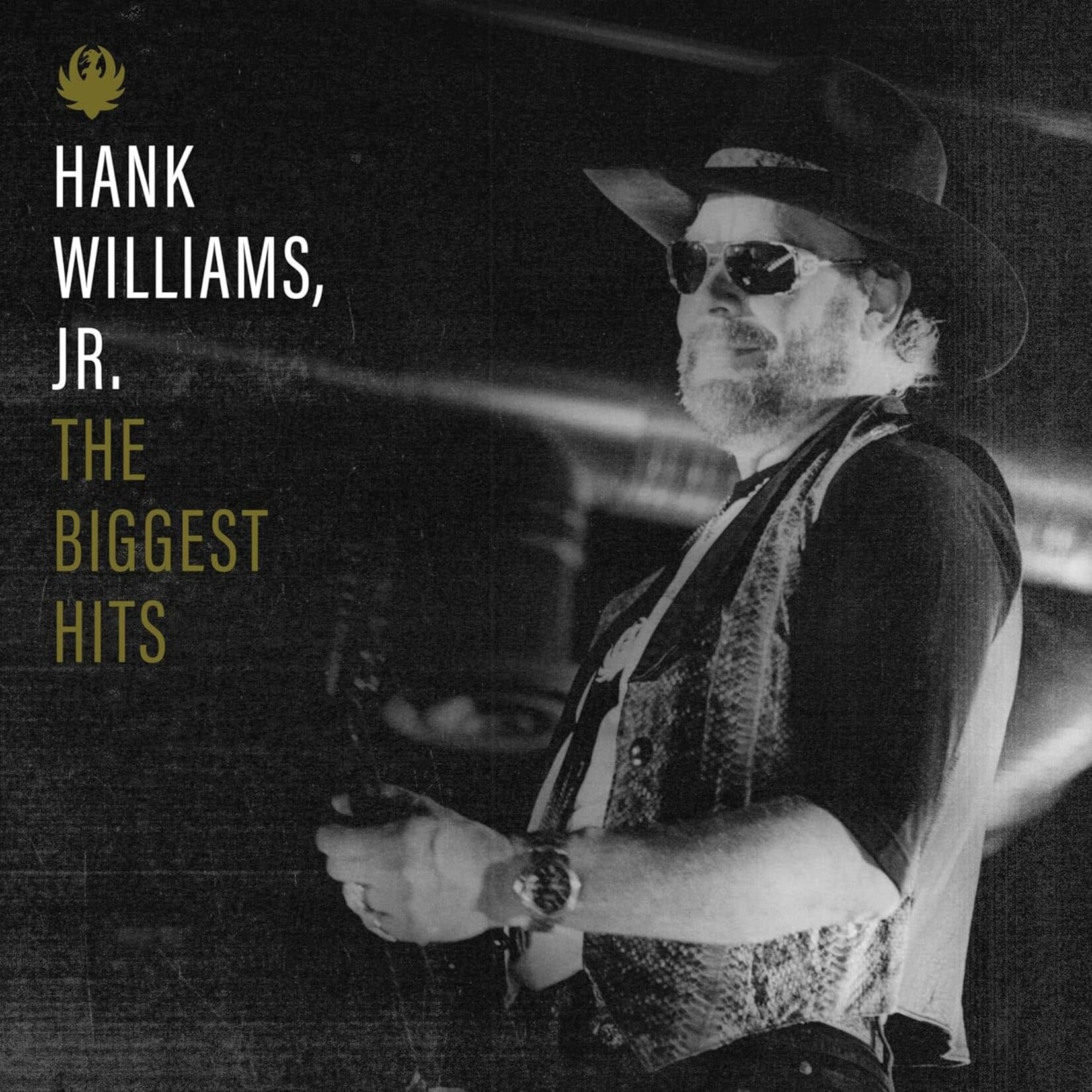 Hank Williams Jr. - The Biggest Hits [LP]