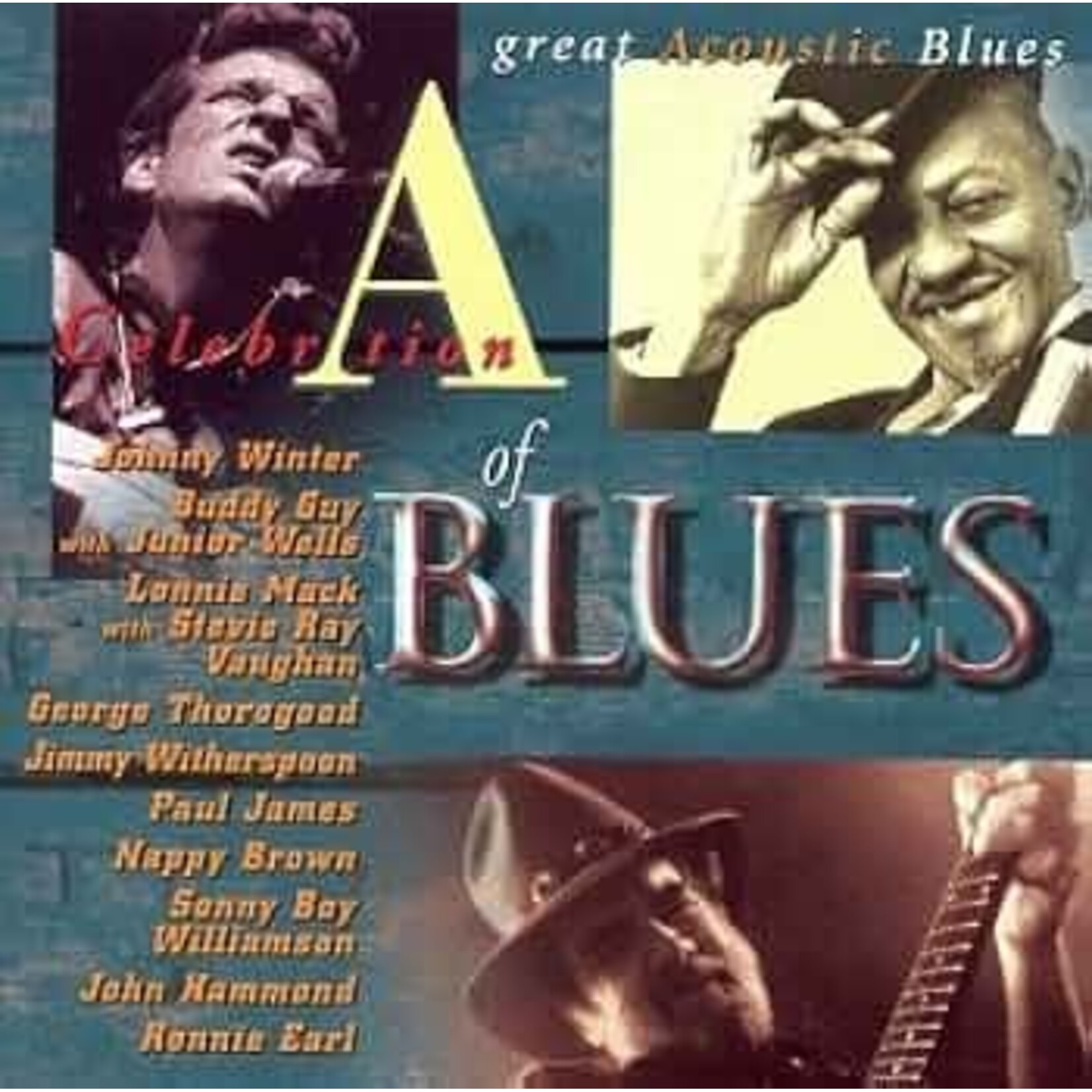 Various Artists - A Celebration Of Blues: Great Acoustic Blues [USED CD]
