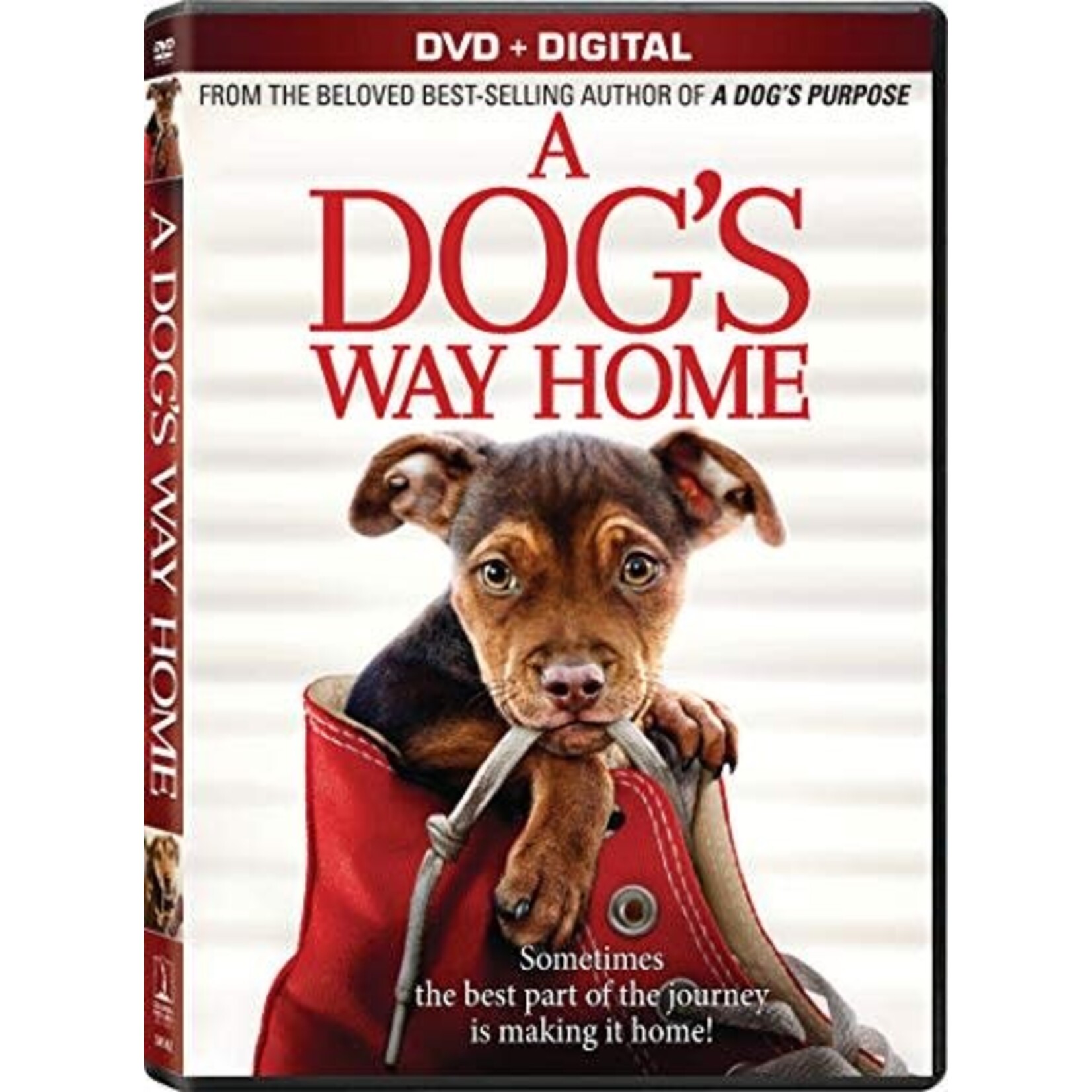 A Dog's Way Home (2019) [USED DVD]