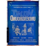 Velvet Underground - A Todd Haynes Documentary (Criterion) [DVD]