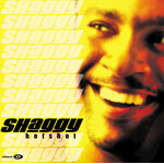 Shaggy - Hot Shot [USED CD]
