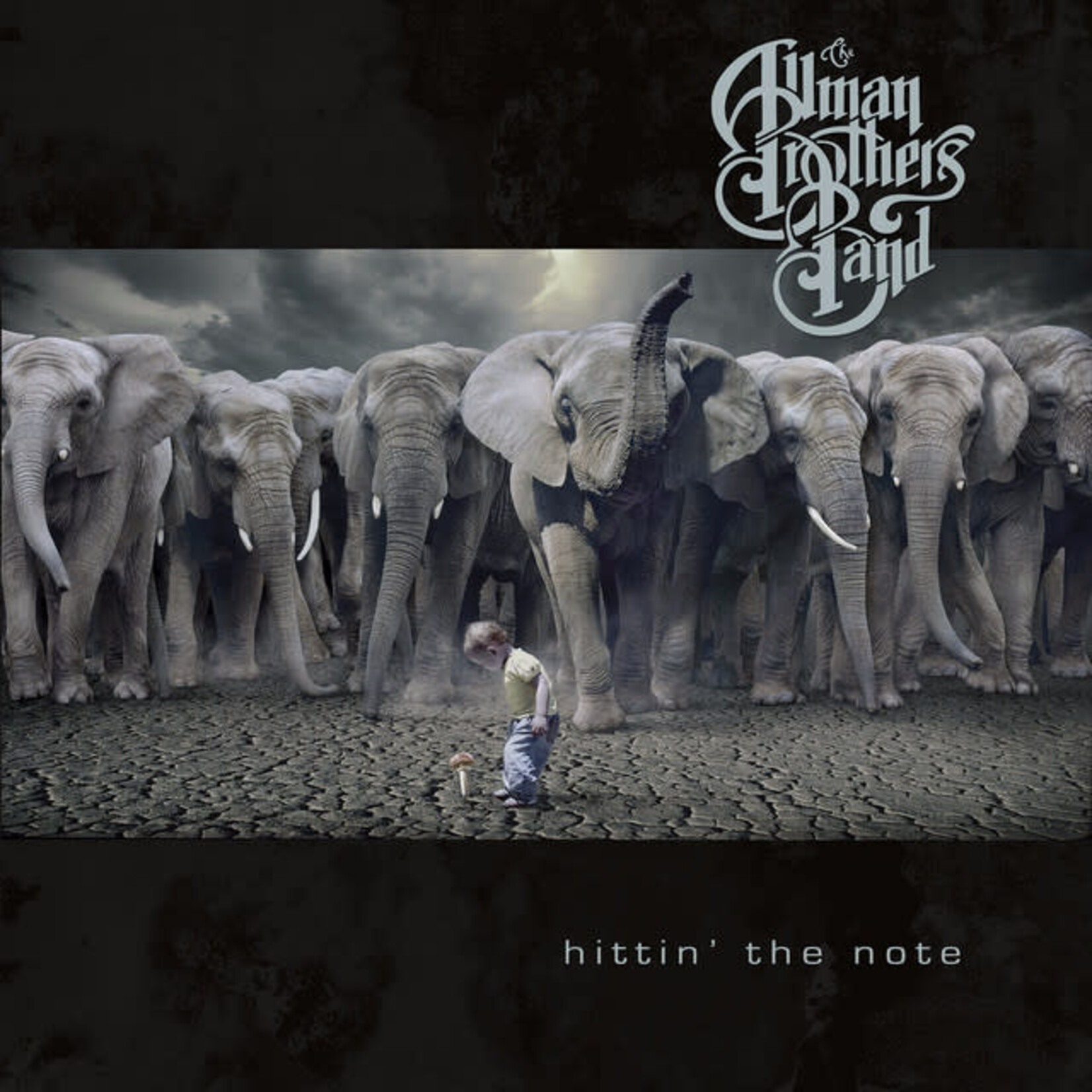 Allman Brothers Band - Hittin' The Note [USED CD]