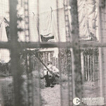 Paul McCartney - Chaos And Creation In The Backyard [USED CD]