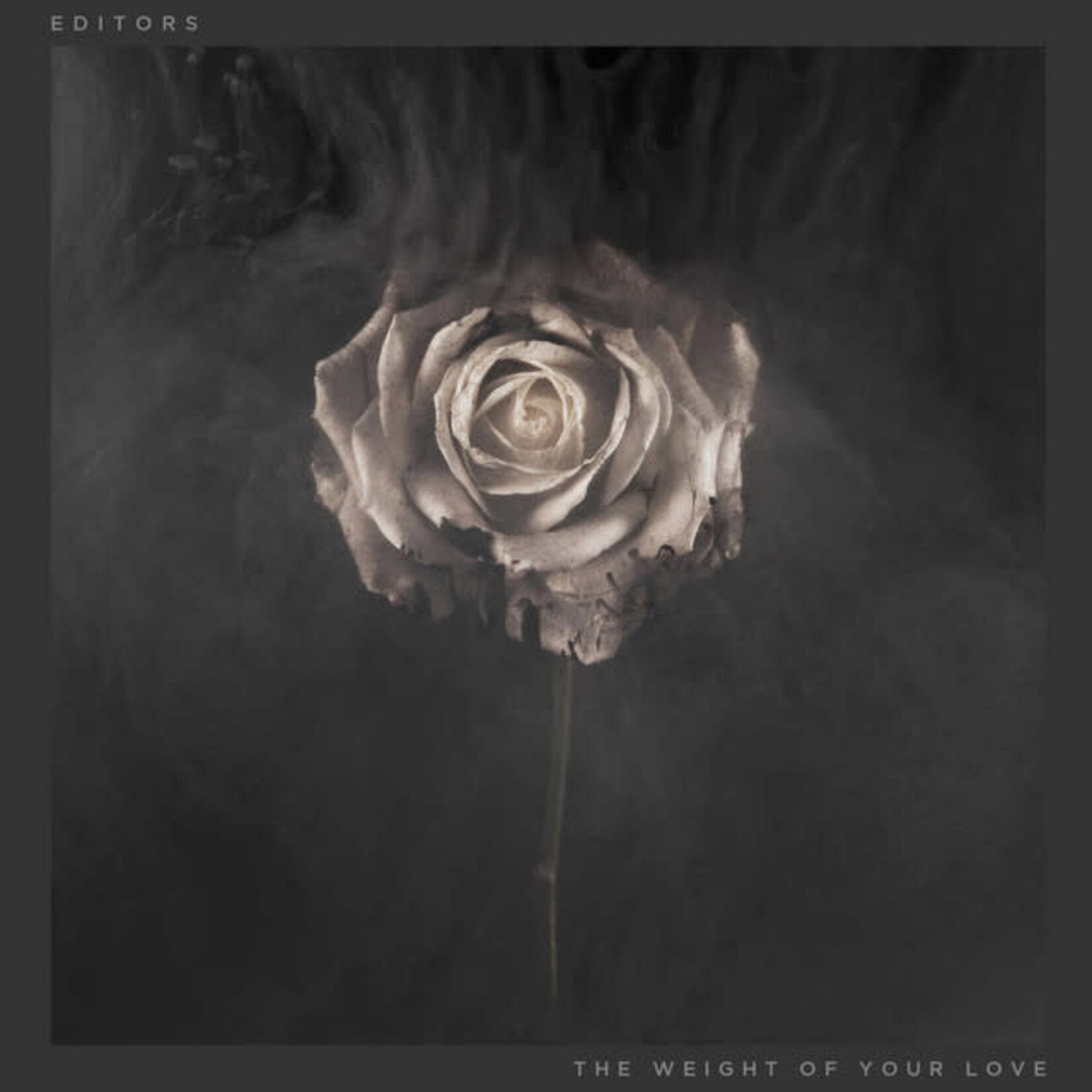 Editors - The Weight Of Your Love [USED 2CD]