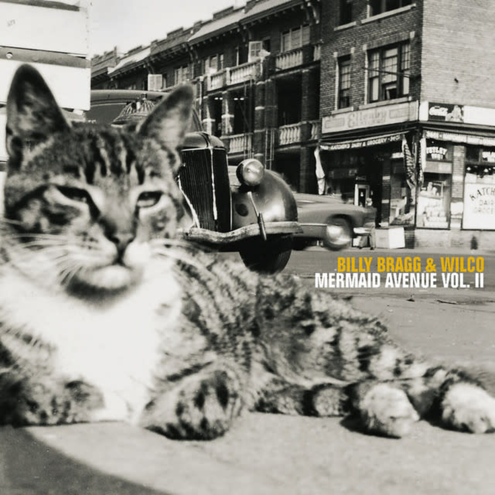 Billy Bragg/Wilco - Mermaid Avenue Vol. II [USED CD]