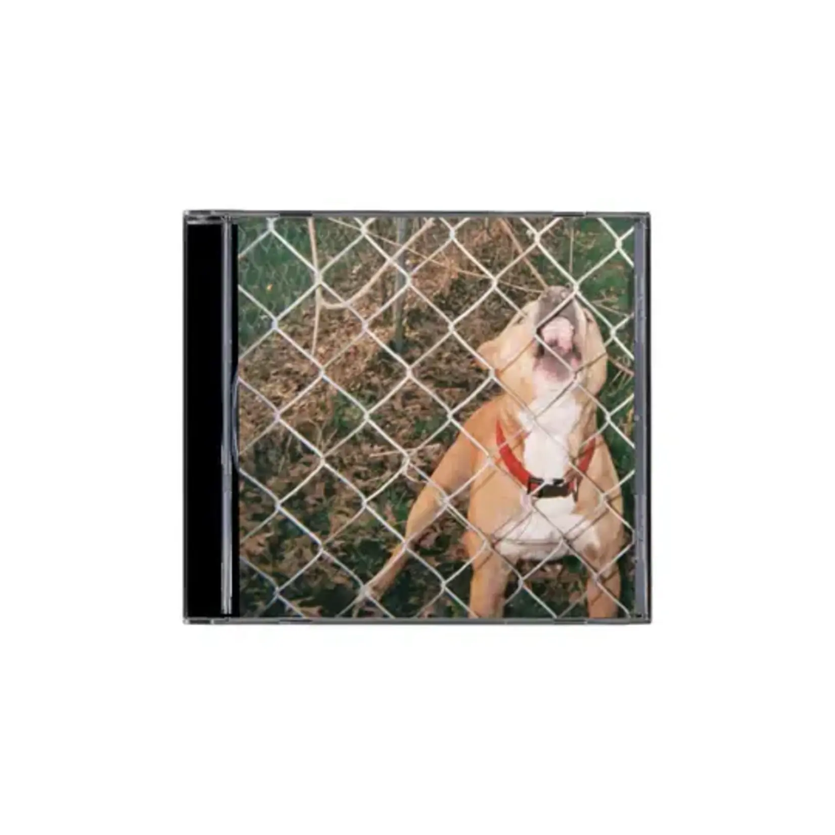 Knocked Loose - Pop Culture [CD]