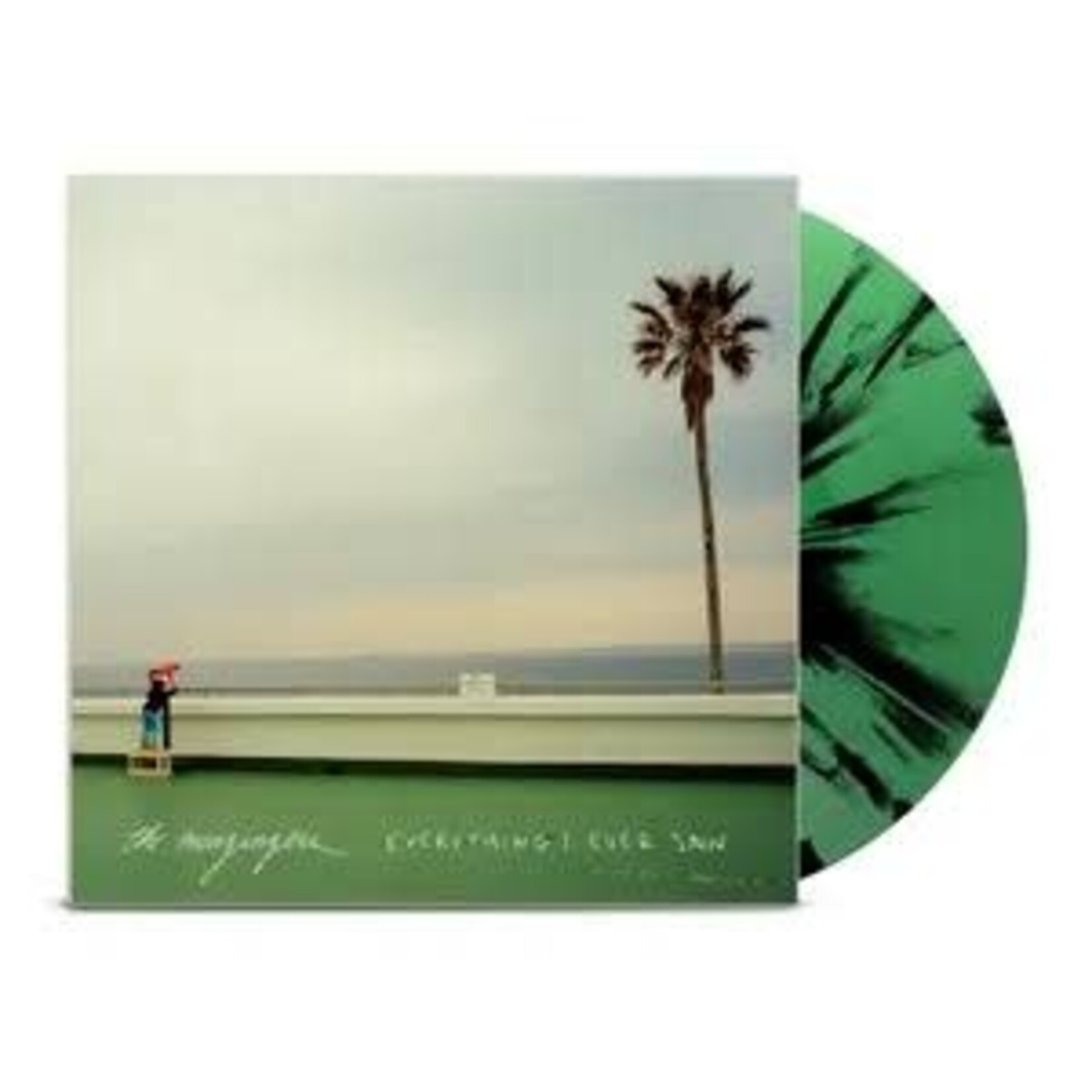 Menzingers - Everything I Ever Saw (Indie Green/Black Vinyl) [LP]