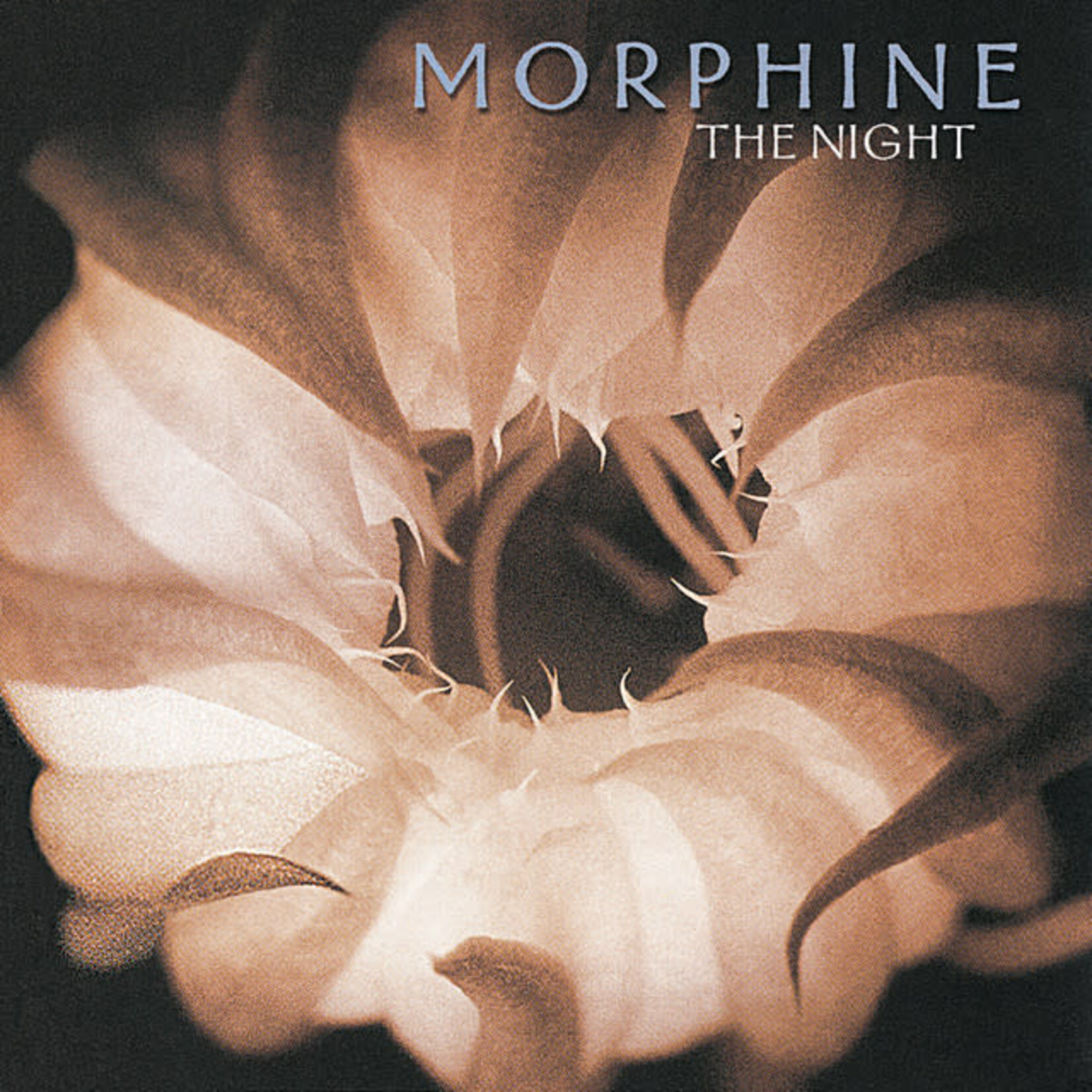 Morphine - The Night [USED CD]