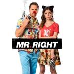 Mr. Right (2015) [USED DVD]