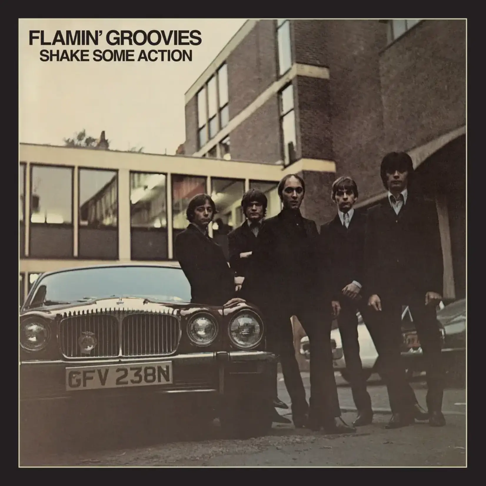 Flamin' Groovies - Shake Some Action (50th Ann Ed) [2CD]