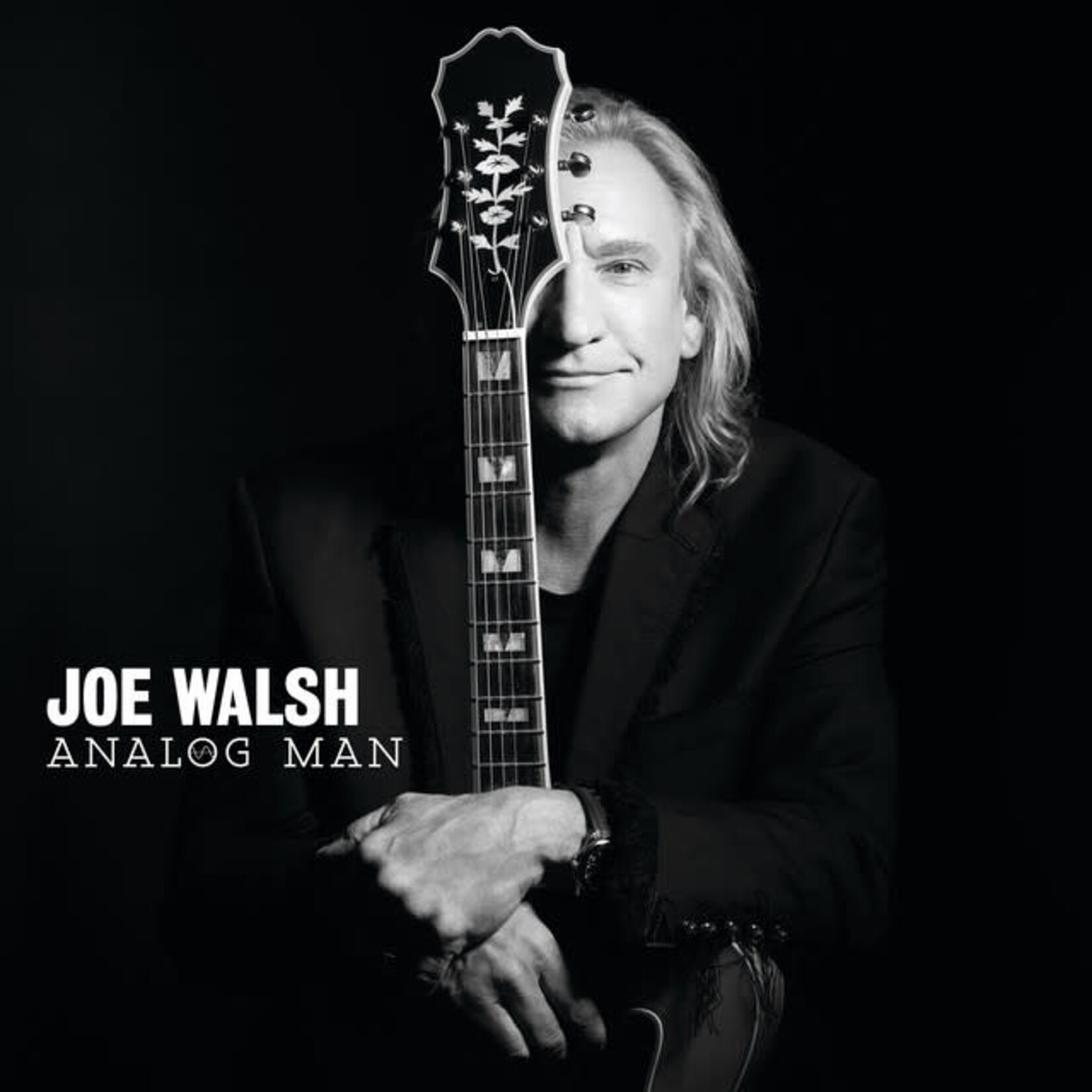 Joe Walsh - Analog Man [USED CD]