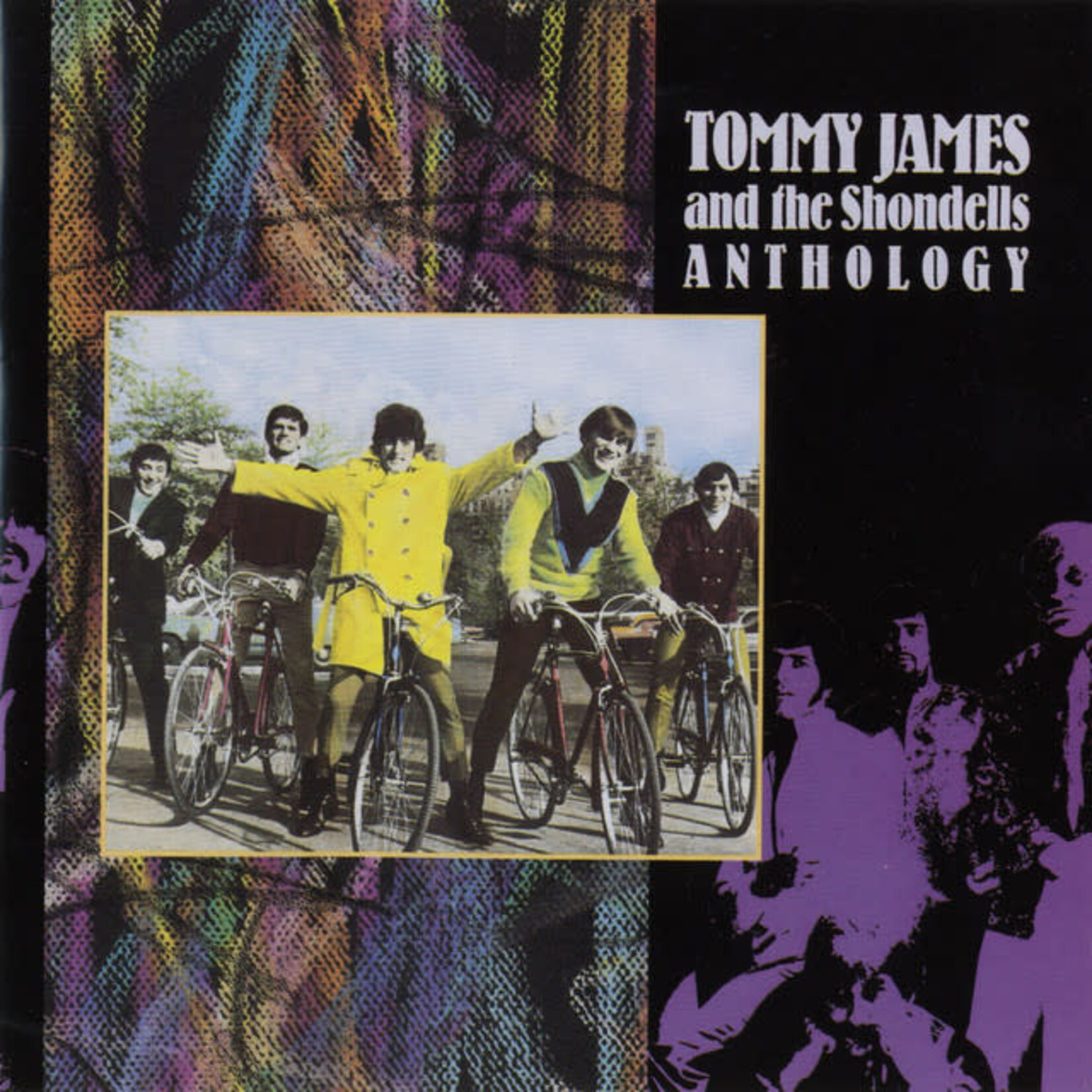 Tommy James & The Shondells - Anthology [USED CD]